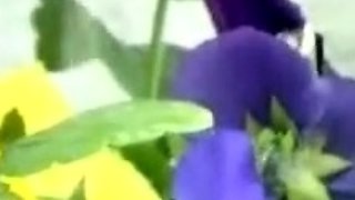 Brunette Solo Webcam Masturbation