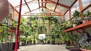 More Greenhouse Work