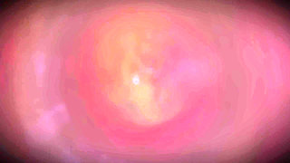 B021 Giantess Titty Fuck Farting Face Sitting Man Shrunk and Trapped in Woman's Vagina Pussy Swallowing Full Version