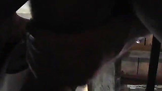 20 minutes compilation, 15 scenes of facials, cum swallow, huge cumshots and oral creampie