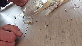 Dirty Games Slave! Total Garbage Disposal for Dominant Girls!