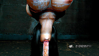 Pretty beauty is hung up and deepthroat...