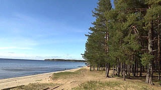 Walk Fishnet Bodystocking