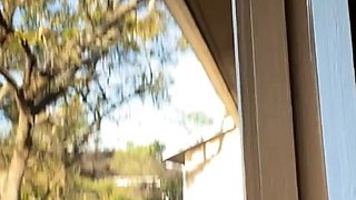 Amateur Cute Teen Girl Plays Anal Solo Cam Free Porn