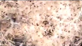 French Amateur Adult Video: Je Mouille Pour Toi