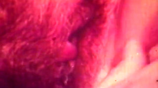 Vintage Asian Couple Classic with Retro Hairy Bush Loving