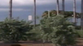 Three Hotties Play Naked on a Public Beach