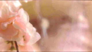 ReidMyLips-Riley Reid's First Wedding Night