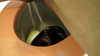 toilet slave training