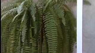 Blonde Babes From Germany Licking and Fingering Each Other