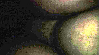 He Shaved My Vagina and Then Inserted His Penis Inside.