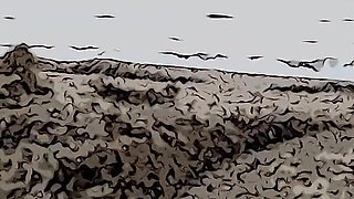 Your Stepsister Masturbates on the Beach