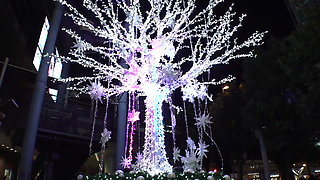 Part 1【the Innocent Type】【a Firm, Toned Body Sculpted Through Dance】