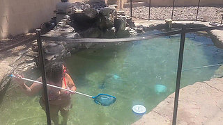 BBW Cleaning Her Pool