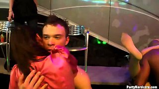 Amateur Wild Bash Volume 8 Part 5 - Primary Edit