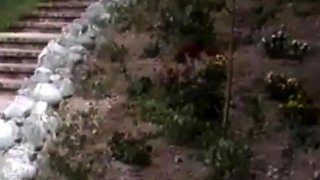 Blonde amateur milf does anal on pov camera 11