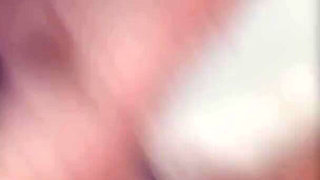 Perfect Pussies