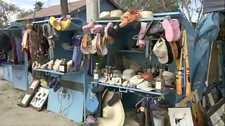 Beach Sex: Blowjob, Babe  Big Ass Porn