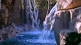 Blowjob Close Up No Hands Cumshot